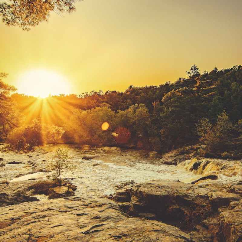 Every Moment Productive